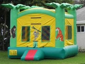 Jungle Arena Bouncer #1033