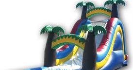 Palm Tree Water Slide $230.00