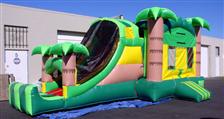 Jungle Arena and Slide Combo #3007$ 175.00