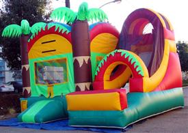 Tropical Slide Combo #3020$156.00